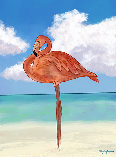 Flamingo Beach Fine Art Canvas 18" x 24"