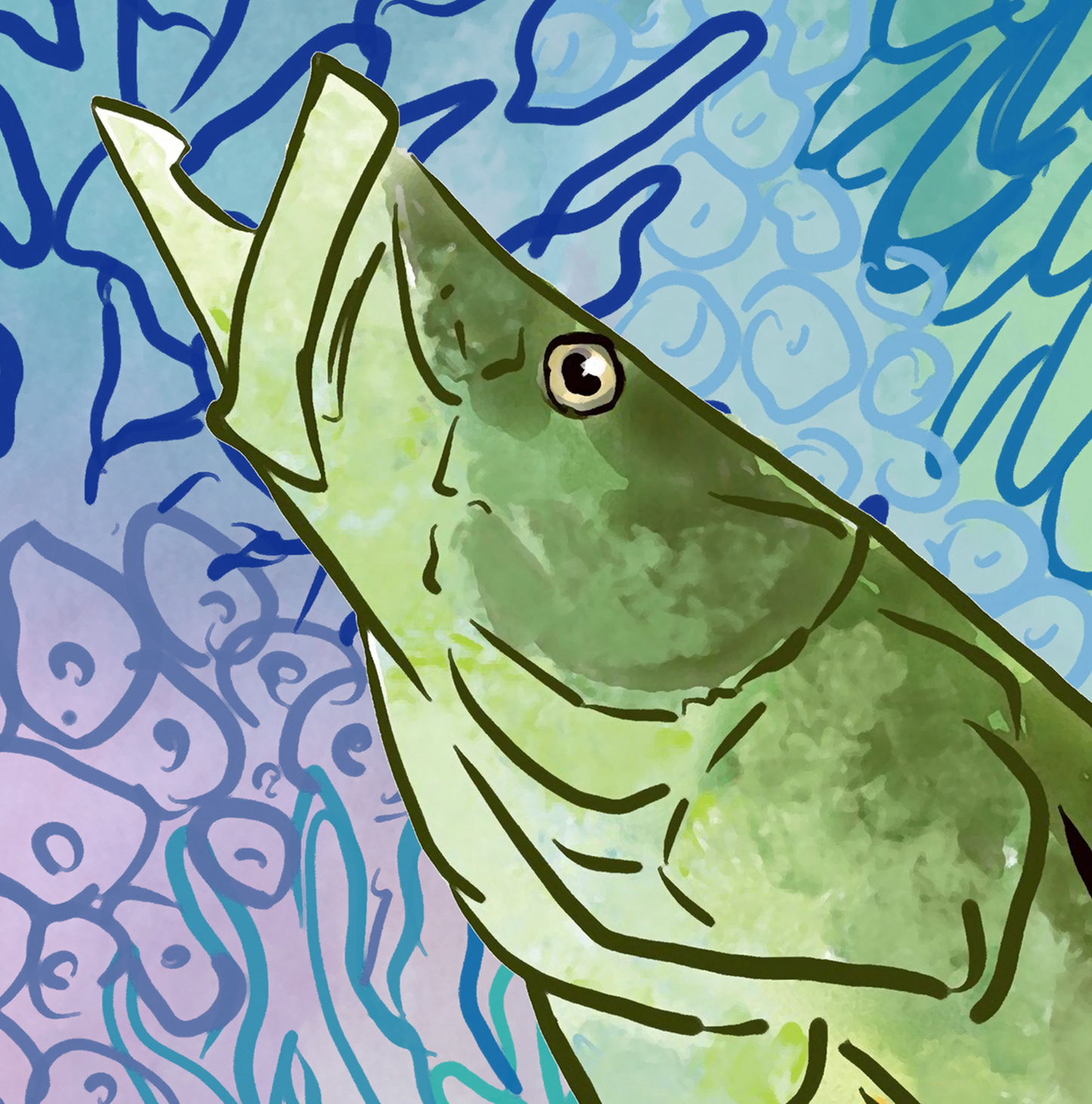 Sapphire Reef Snook Fine Fish Art Canvas Print