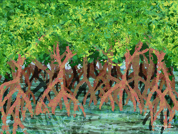 The Mangroves Fine Art Landscape Canvas