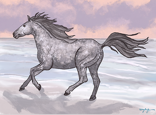 Corolla Wild Beach Horse Fine Art Canvas