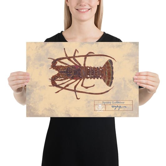 Naturalist Spiny Lobster Fine Art Print