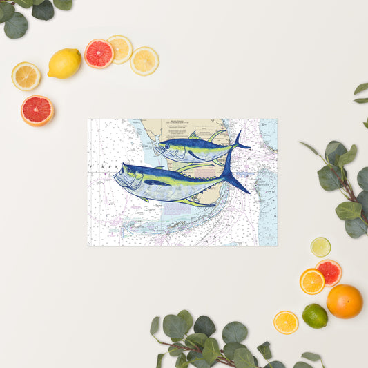 Yellowfin Tuna Nautical Chart Series Fine Art Print