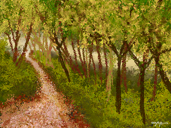 A Quiet Walk Through the Forest Fine Art Canvas