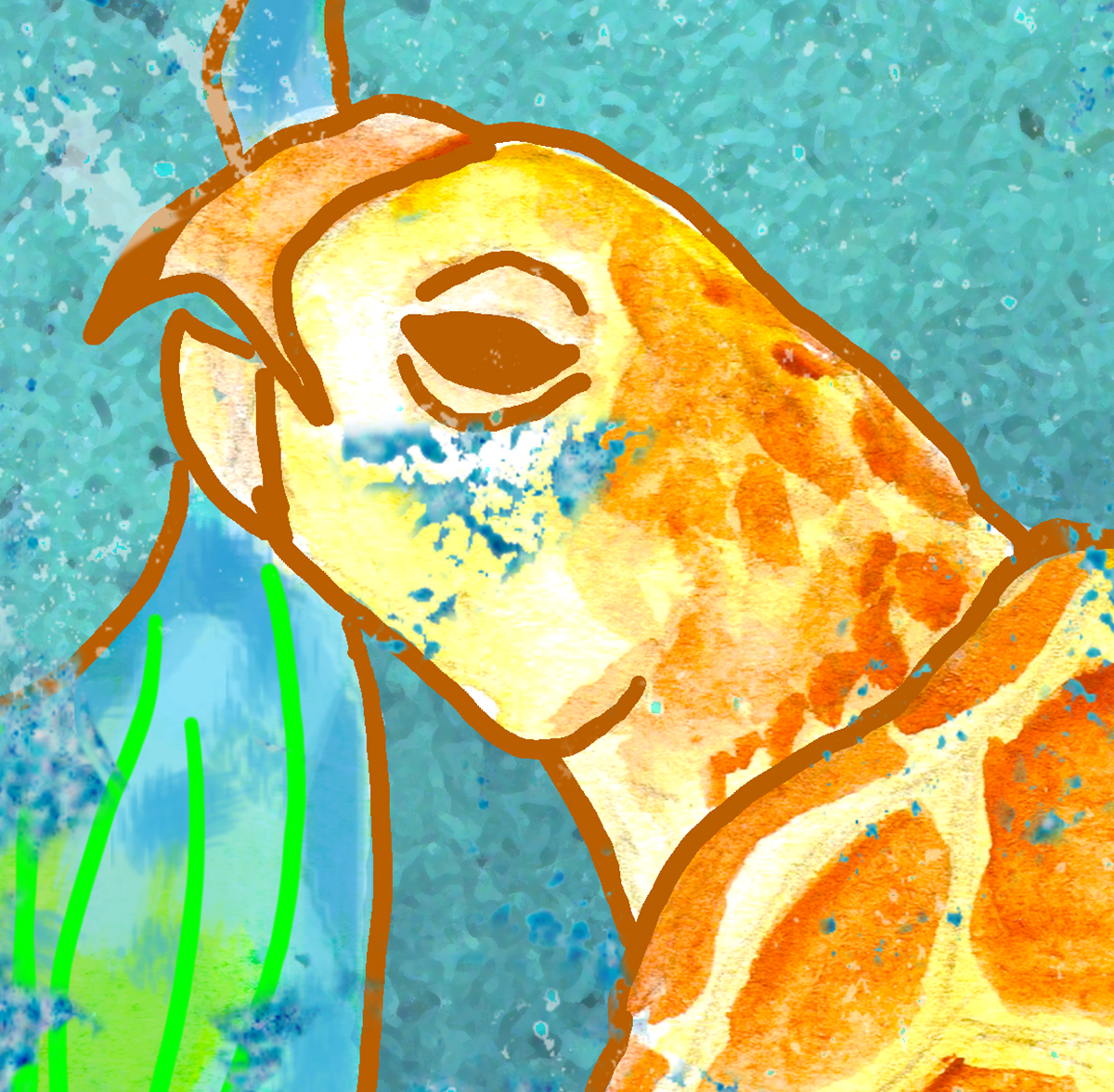 The Turtle and the Mermaid Fine Coastal Art Canvas Print