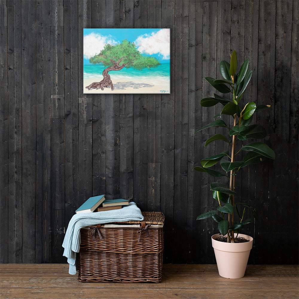 Aruba's Fofoti Tree on the Beach Fine Art Canvas