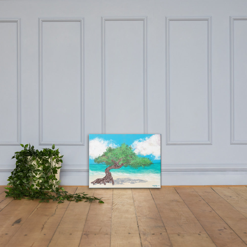 Aruba's Fofoti Tree on the Beach Fine Art Canvas