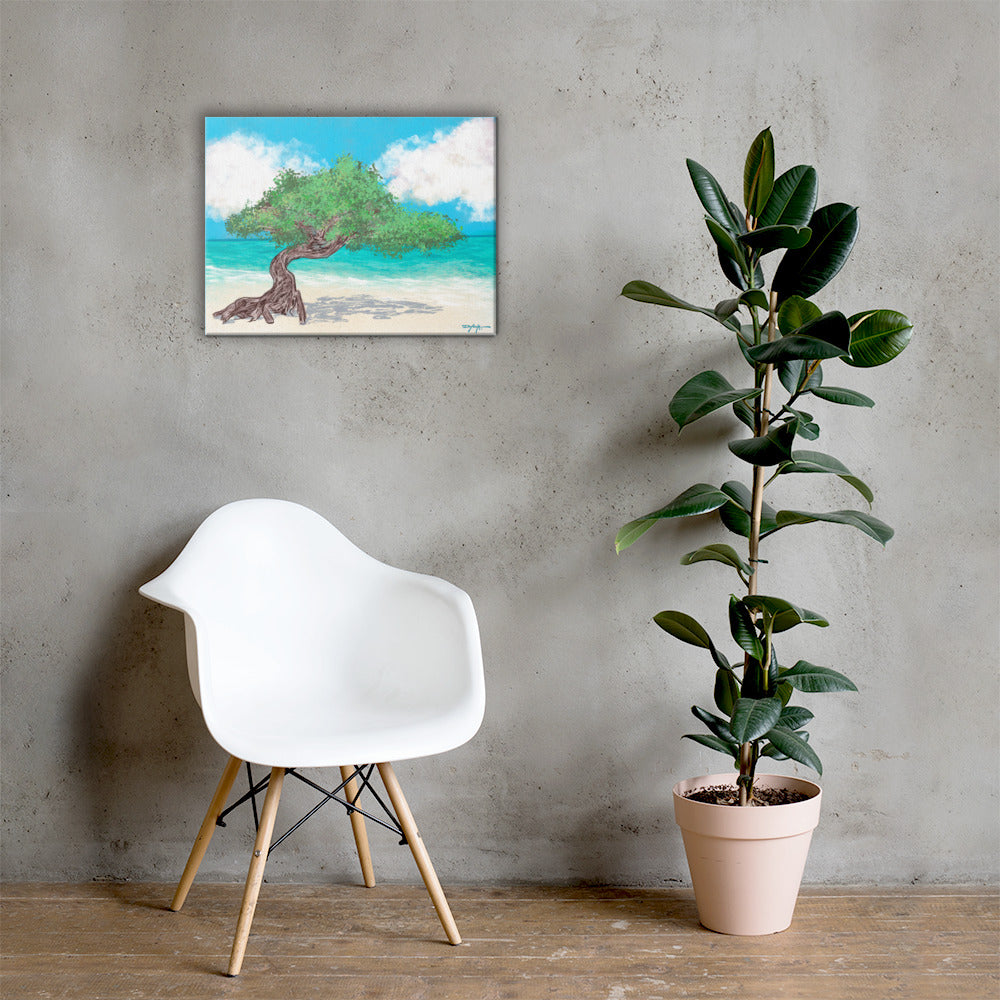 Aruba's Fofoti Tree on the Beach Fine Art Canvas