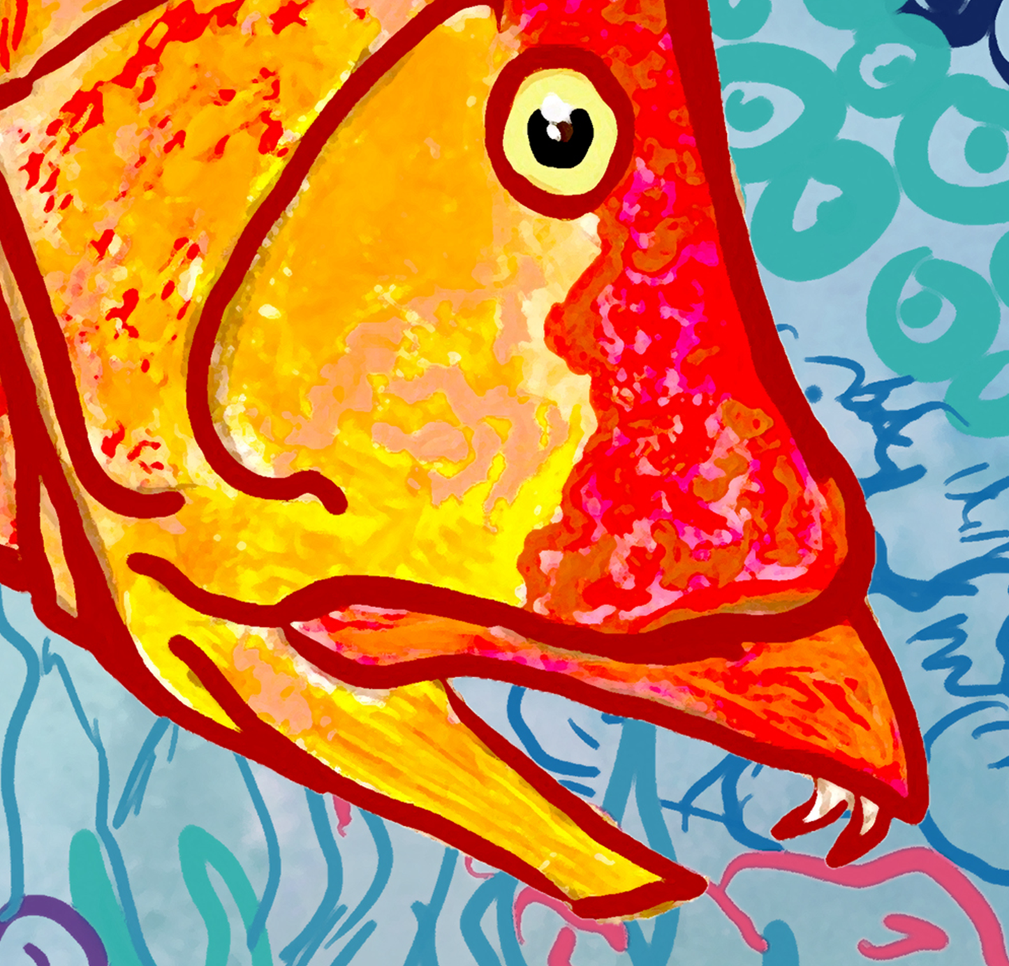 Sapphire Reef Hogfish Hog Snapper Fine Fish Art Canvas Print