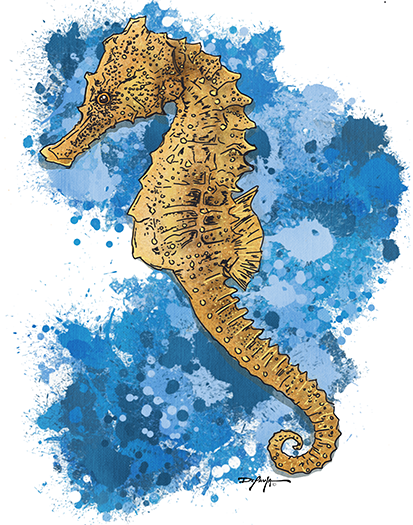 Seahorse Fine Coastal Art Expressionism Canvas Print