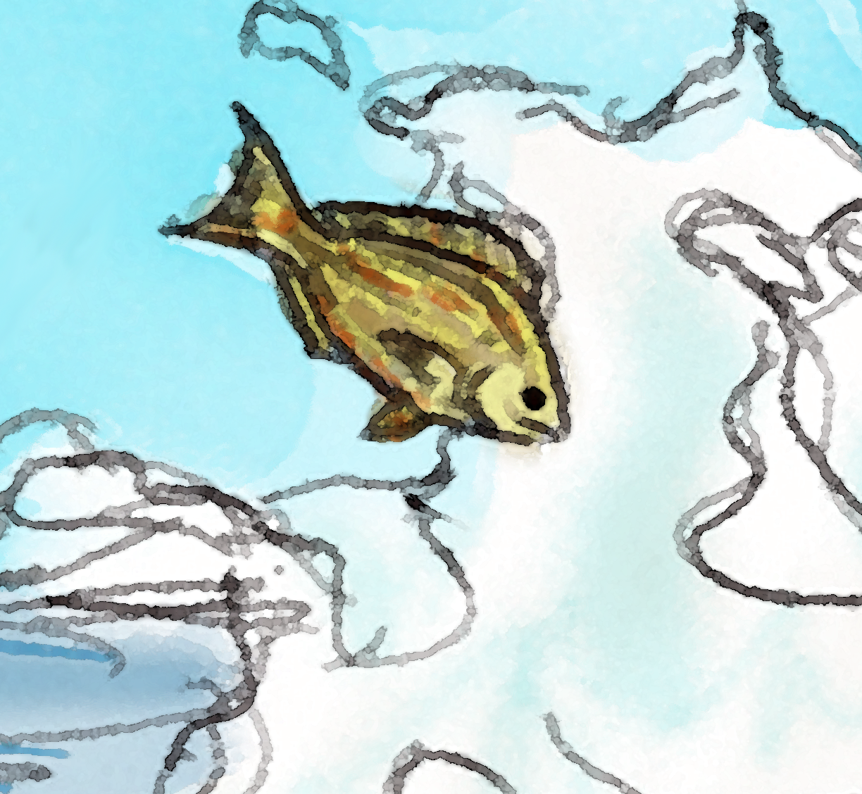 Hungry Tarpon Fine Fish Art Canvas Print